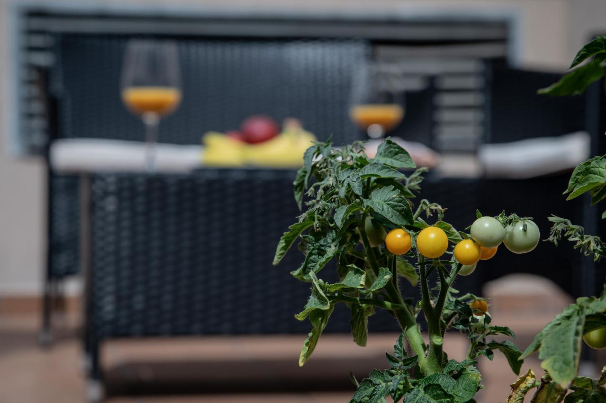 White Swan Boutique Apartments Prague Ngoại thất bức ảnh